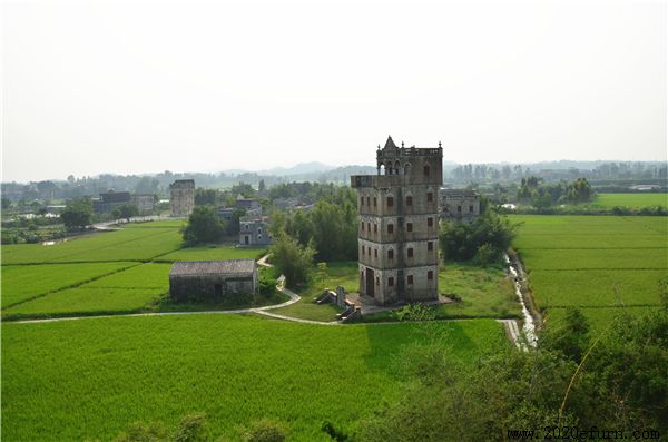 ȥ�������