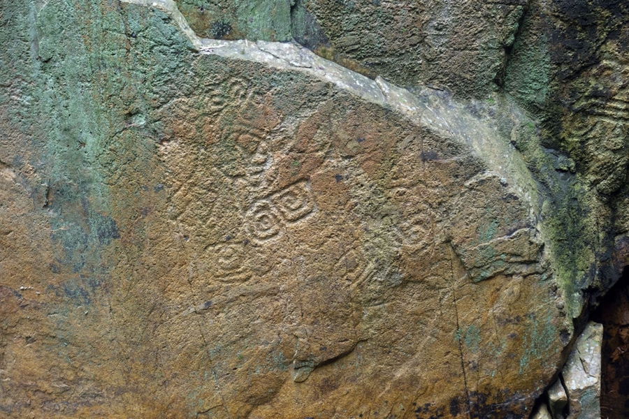 ���������