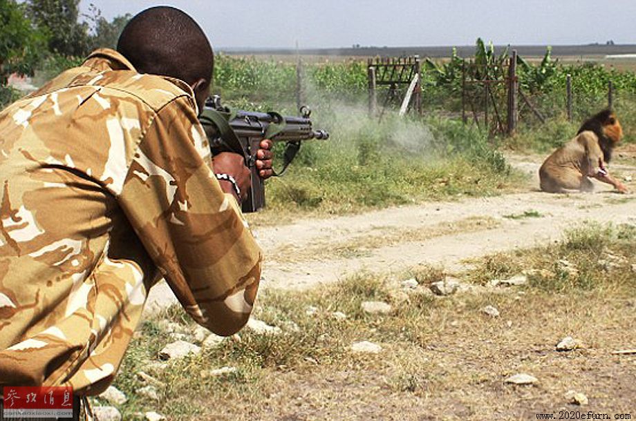 香港电灯有限公司